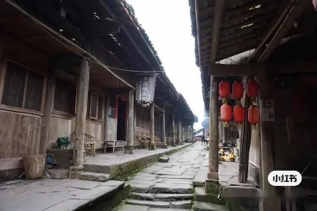 巧虎踢足球